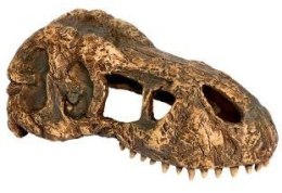 Exo terra EXO TERRA T-Rex skull (czaszka dinozaura)