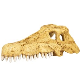Repti-Zoo Repti-Zoo Crocodile Skull S - czaszka krokodyla