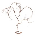 Repti-Zoo Jungle Multi Vines - rozgałęziona liana gięta 150cm Repti-Zoo