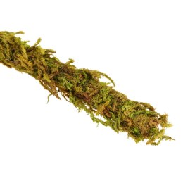 Repti-Zoo Repti-Zoo Liana z naturalnym mchem 1,5cm x 2m