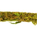 Repti-Zoo Liana z naturalnym mchem 1,5cm x 2m Repti-Zoo