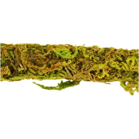 Repti-Zoo Liana z naturalnym mchem 1,5cm x 2m Repti-Zoo