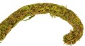 Repti-Zoo Liana z naturalnym mchem 1,5cm x 2m Repti-Zoo
