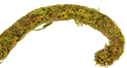 Repti-Zoo Liana z naturalnym mchem 1,5cm x 2m Repti-Zoo