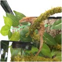 Repti-Zoo Liana z naturalnym mchem 1,5cm x 2m Repti-Zoo