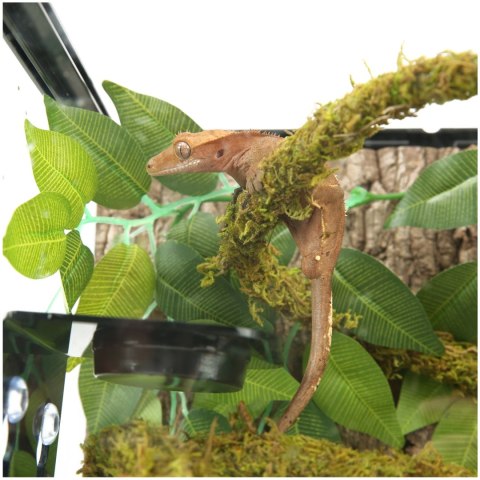 Repti-Zoo Liana z naturalnym mchem 1,5cm x 2m Repti-Zoo