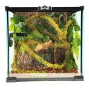 Repti-Zoo Liana z naturalnym mchem 1,5cm x 2m Repti-Zoo