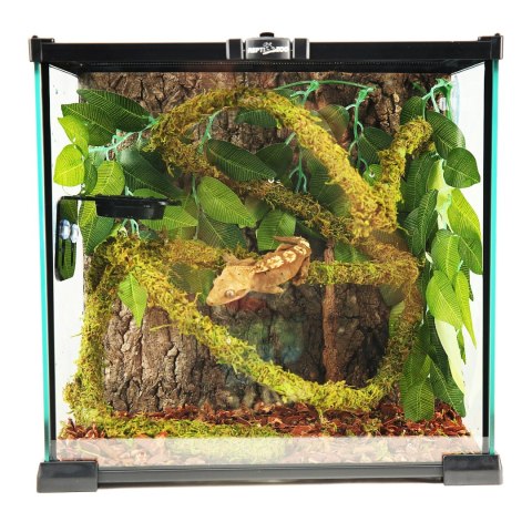 Repti-Zoo Liana z naturalnym mchem 1,5cm x 2m Repti-Zoo