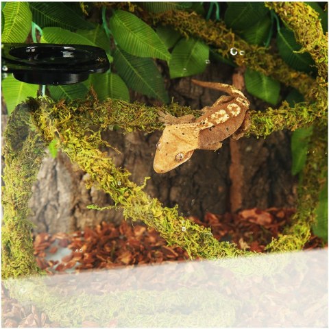 Repti-Zoo Liana z naturalnym mchem 1,5cm x 2m Repti-Zoo