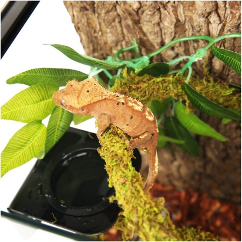 Repti-Zoo Liana z naturalnym mchem 1,5cm x 2m Repti-Zoo
