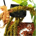 Repti-Zoo Liana z naturalnym mchem 1,5cm x 2m Repti-Zoo