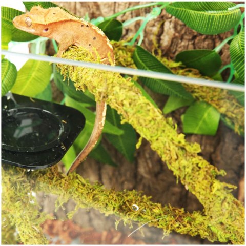Repti-Zoo Liana z naturalnym mchem 1,5cm x 2m Repti-Zoo