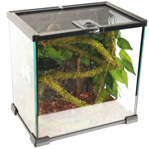 Repti-Zoo Liana z naturalnym mchem 1,5cm x 2m Repti-Zoo