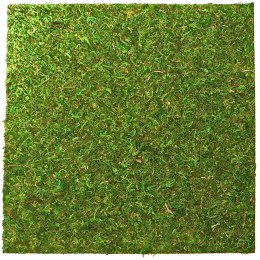 Repti-Zoo Repti-Zoo Natural Moss Back&Bottom - tło i podłoże z mchu 45x45cm
