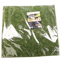 Repti-Zoo Repti-Zoo Natural Moss Back&Bottom - tło i podłoże z mchu 45x45cm
