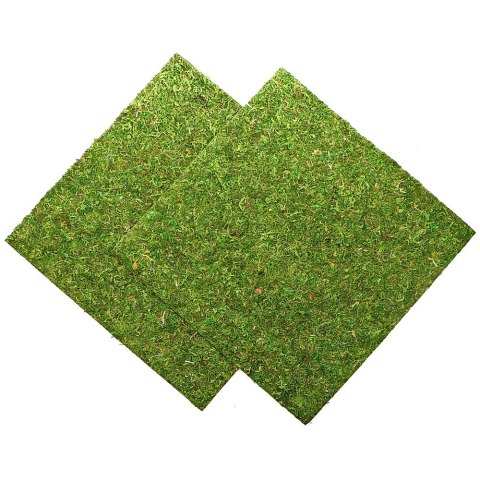 Repti-Zoo Natural Moss Back&Bottom - tło i podłoże z mchu 45x45cm Repti-Zoo
