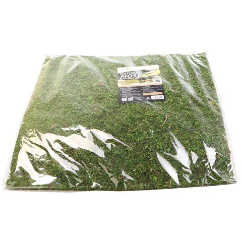 Repti-Zoo Natural Moss Back&Bottom - tło i podłoże z mchu 45x45cm Repti-Zoo