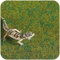 Resun Tropical Carpet Mat - mata do terrarium 80x30cm Repti-Zoo