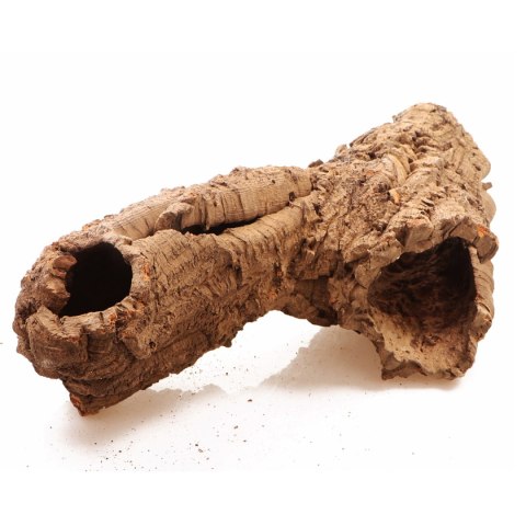 Kora z Dębu Korkowego XXL - na wagę Terrario
