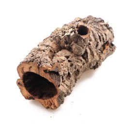 Terrario Kora z Dębu Korkowego - na wagę