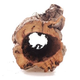 Terrario Kora z Dębu Korkowego - na wagę
