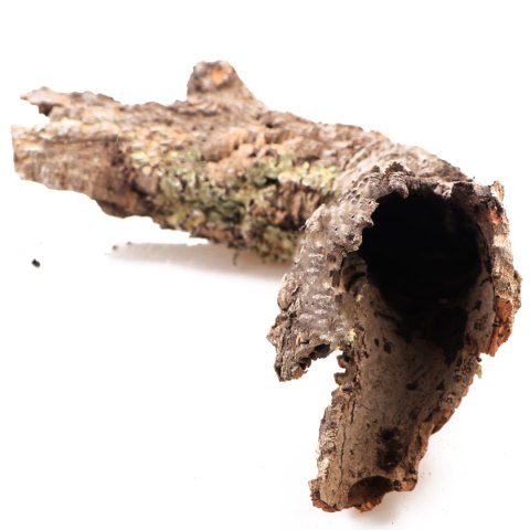 Kora z Dębu Korkowego - na wagę Terrario