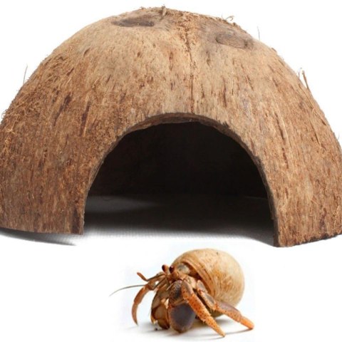 Terrario CocoCave L - połówka kokos gładki Terrario