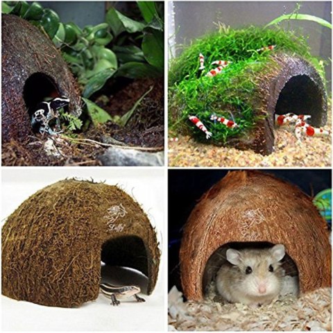 Terrario CocoCave L - połówka kokos gładki Terrario