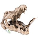 Terrario Crocodile Skull XL - czaszka krokodyla do terrarium 23x11x16 cm Terrario