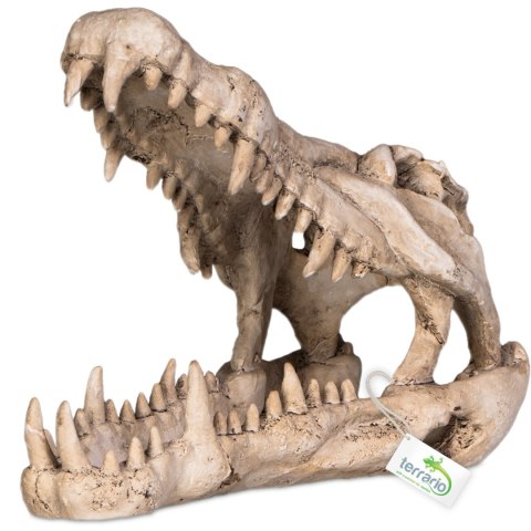 Terrario Crocodile Skull XL - czaszka krokodyla do terrarium 23x11x16 cm Terrario