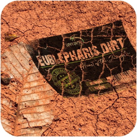 Terrario Eublepharis Dirt 1 kg - podłoże dla gekona lamparciego Terrario