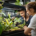 Terrario Greeno Terris 5l - ziemia dla roślin tropikalnych do terrarium Terrario