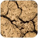 Terrario Monument Mud 1kg - mieszanka z gliną Terrario