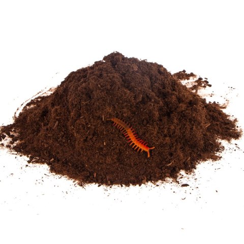 Terrario Paraguay Muds Powder - torf drobny 5l Terrario