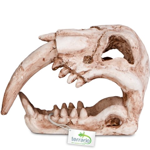 Terrario Sabertooth Skull - czaszka tygrysa do terrarium 13x8,5x11 cm Terrario