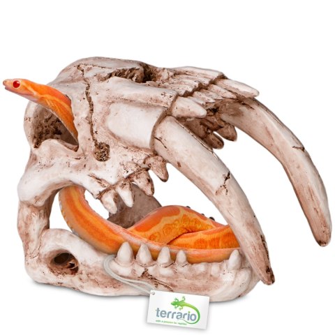 Terrario Sabertooth Skull - czaszka tygrysa do terrarium 13x8,5x11 cm Terrario