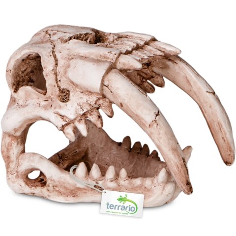 Terrario Sabertooth Skull - czaszka tygrysa do terrarium 13x8,5x11 cm Terrario