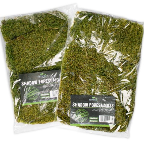 Terrario Shadow Forest Moss - mech naturalny 35x28cm Terrario