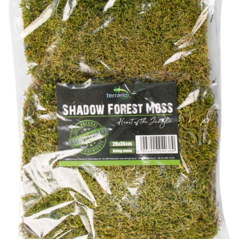 Terrario Shadow Forest Moss - mech naturalny 35x28cm Terrario