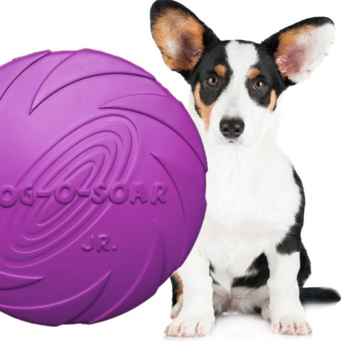 Pet Nova zabawka - dysk gumowy frisbee fioletowy 22cm Aqua Nova