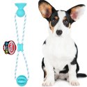 Pet Nova zabawka - piłka dental z przyssawką miętowa 7cm Aqua Nova
