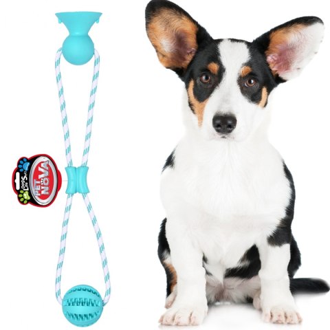Pet Nova zabawka - piłka dental z przyssawką miętowa 7cm Aqua Nova