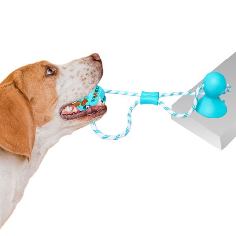 Pet Nova zabawka - piłka dental z przyssawką miętowa 7cm Aqua Nova
