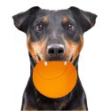 HappyPet Glow Balls - piszcząca piłka Happypet