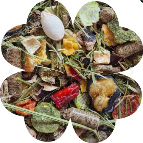 Alegia Enjoy vegetable dla świnki morskiej 600g Alegia