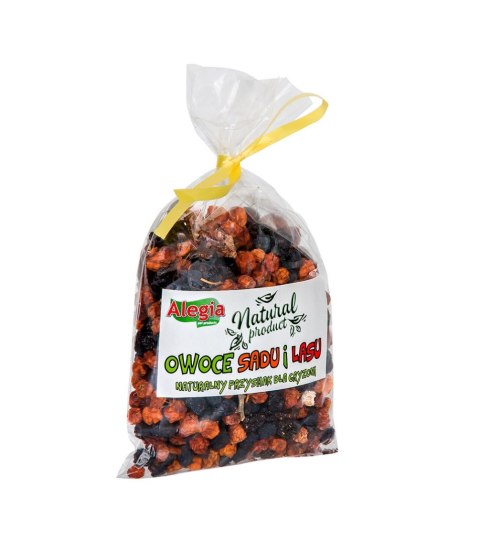 Alegia Owoce Sadu i Lasu 90g Alegia