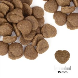 Comfy Appetit Vita Medium&Large Lamb 12kg - karma dla dorosłych psów Aquael