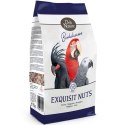Deli Nature Birdelicious Exquisit Nuts 750g - uzupełnienie pokarmu dla papug Deli Nature