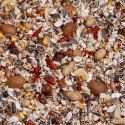 Deli Nature Birdelicious Exquisit Nuts 750g - uzupełnienie pokarmu dla papug Deli Nature