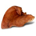 Dogario Bonni Pig's Ear L - duże wieprzowe ucho gryzak dla psa x10 Dogario